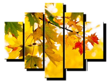 5dielny obraz farebne listy-viac dielny obraz-onlinefotka