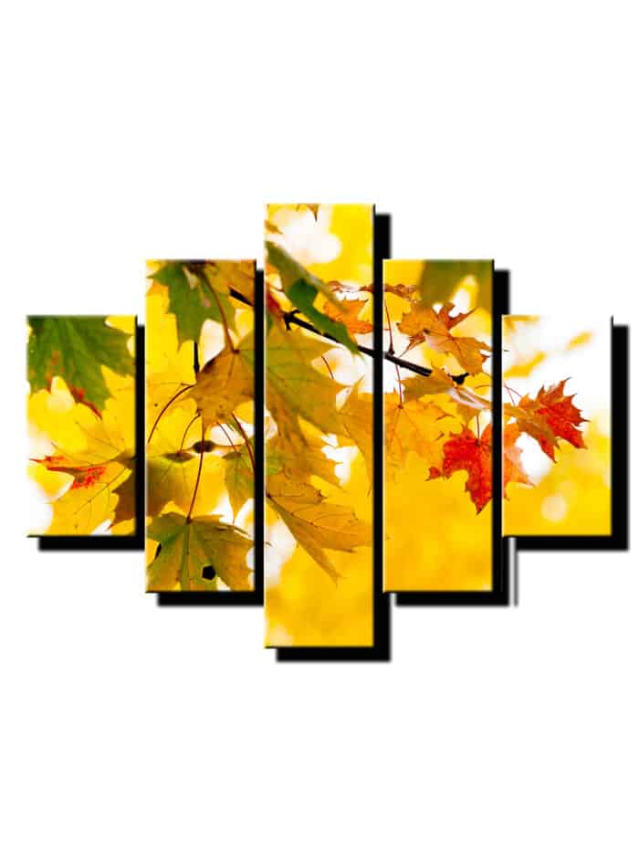 5dielny obraz farebne listy-viac dielny obraz-onlinefotka
