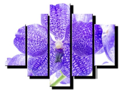 5dielny obraz fialova orchidea-viac dielny obraz-onlinefotka