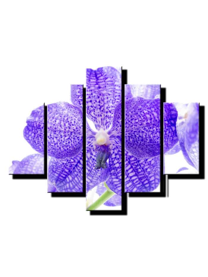 5dielny obraz fialova orchidea-viac dielny obraz-onlinefotka