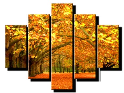 5dielny obraz jesen v prirode-viac dielny obraz-onlinefotka