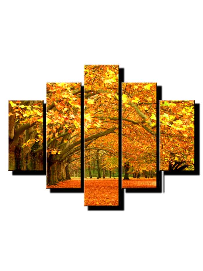 5dielny obraz jesen v prirode-viac dielny obraz-onlinefotka