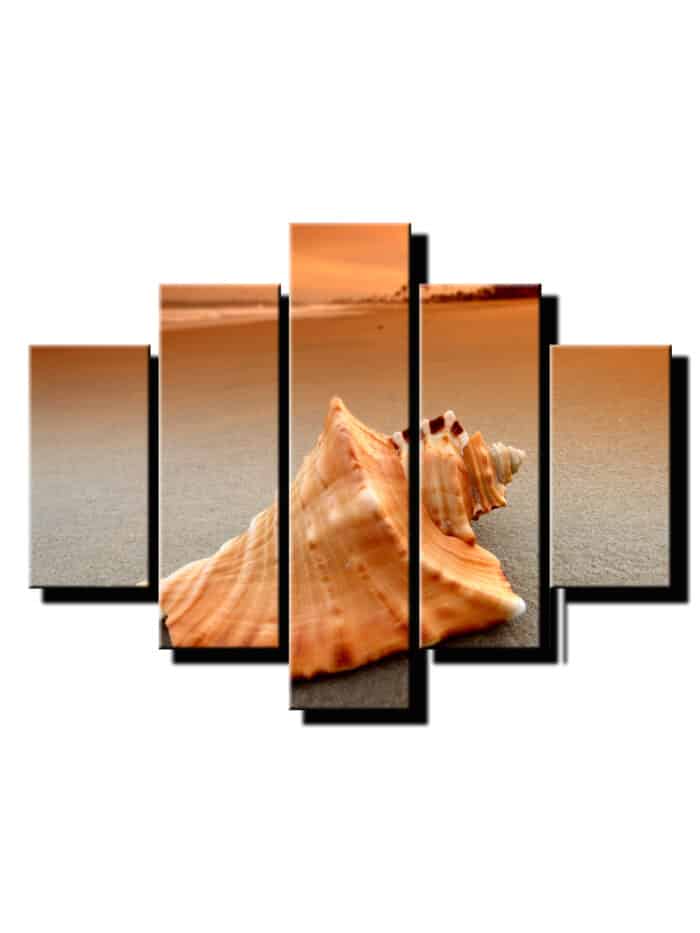 5dielny obraz musla na plazi-viac dielny obraz-moderne obrazy na stenu