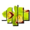 5dielny obraz zelena orchidea-viac dielny obraz-onlinefotka