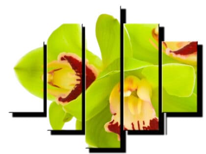5dielny obraz zelena orchidea-viac dielny obraz-onlinefotka