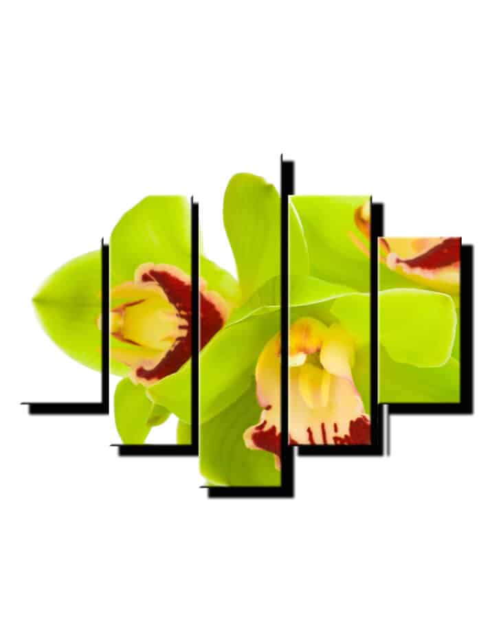 5dielny obraz zelena orchidea-viac dielny obraz-onlinefotka