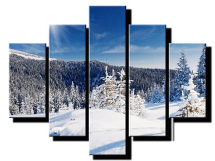 5dielny obraz zimna nadhera-Viac dielny obraz-moderne obrazy na stenu