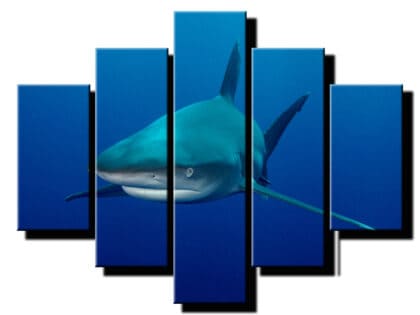 5dielny obraz zralok-viac dielny obraz-moderne obrazy na stenu