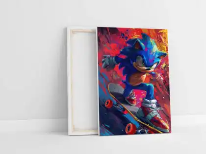 Obraz na plátne-Sonic na skateboarde